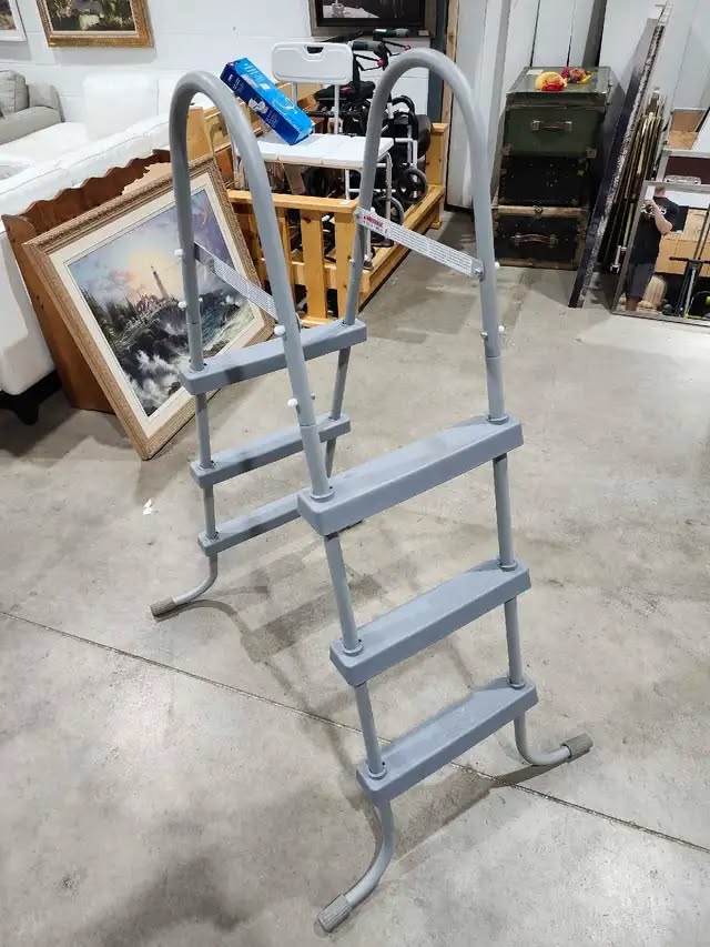Swimming Pool Ladder