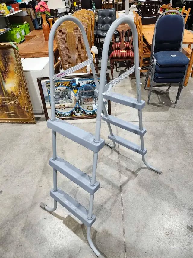 Swimming Pool Ladder