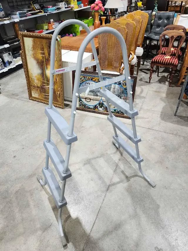 Swimming Pool Ladder
