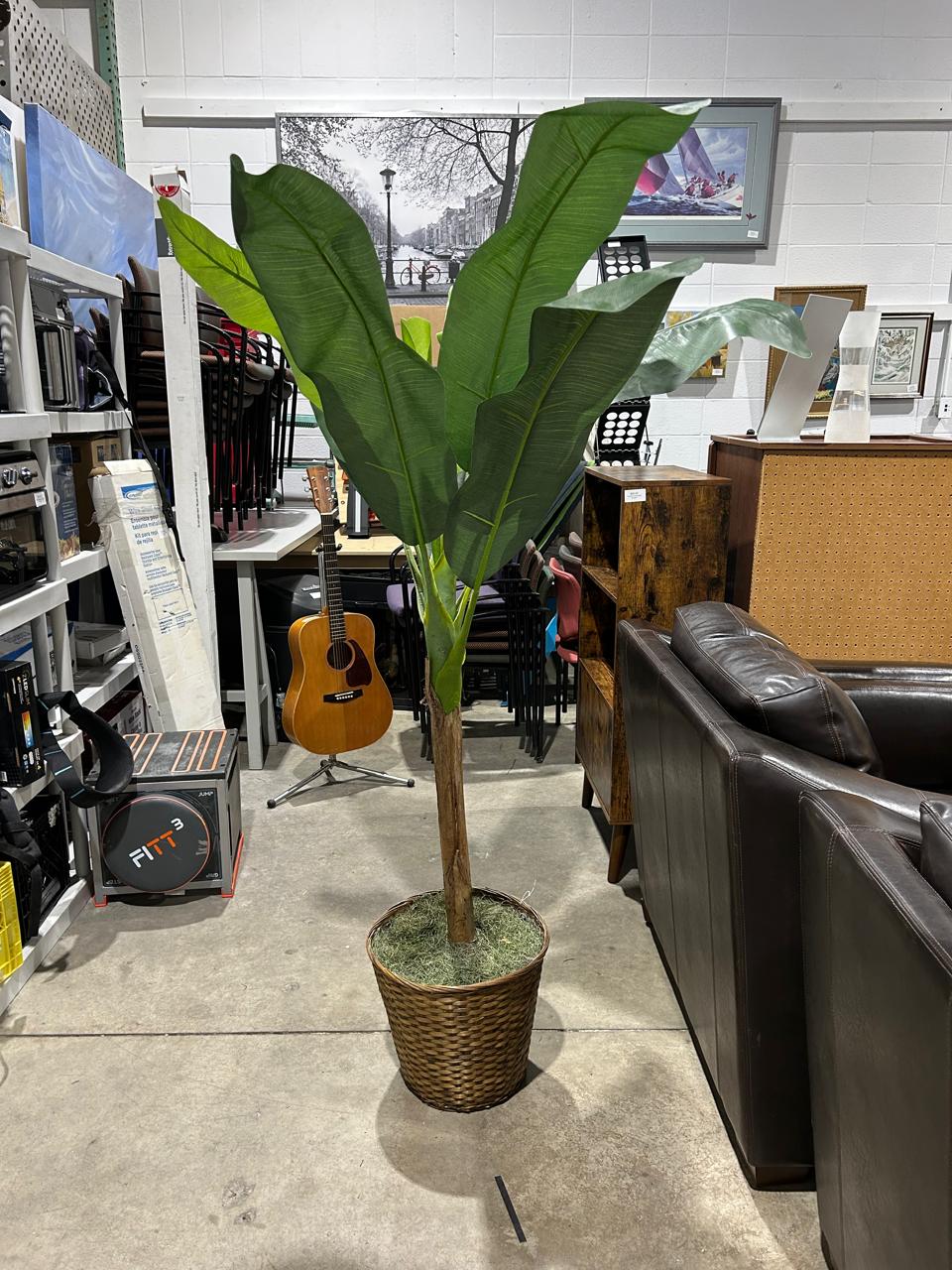 Faux Plant 1