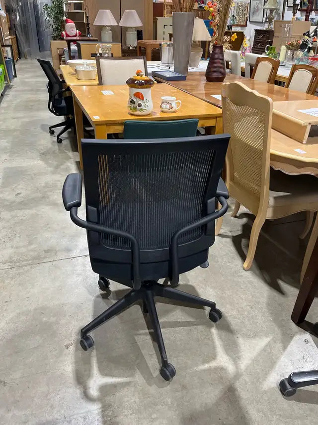 Sitonit seating Ergonomic Office Chair