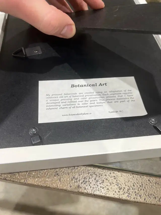 Vintage botanical art