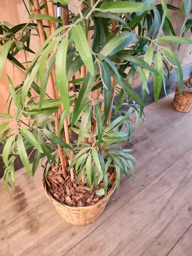 Faux Bamboo Tree - 7ft