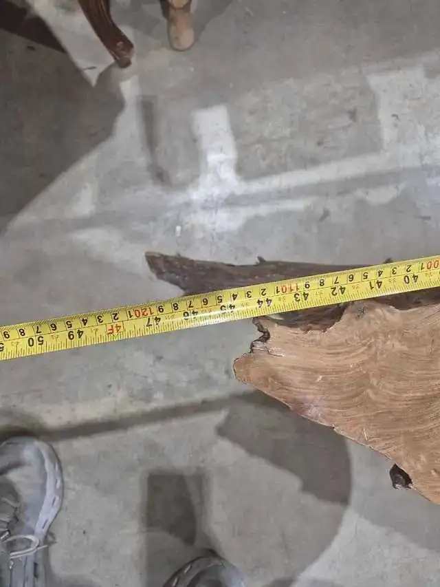 Root Coffee Table - Live Edge