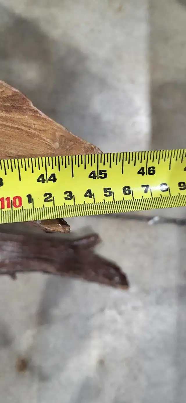 Coffee Table - Natural Live Edge Root
