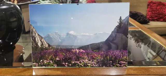Framed Mountain and Forest Landscape Photographs - Set of 2