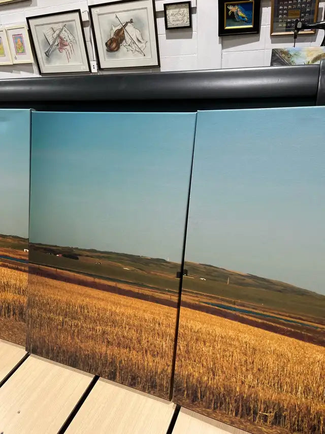 Set of three Canvas Print