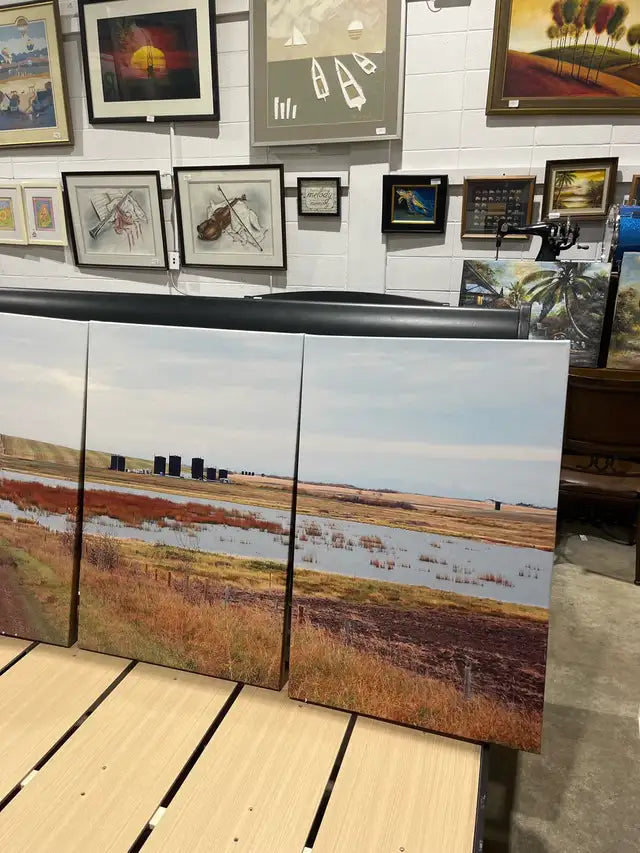 Set of three Canvas Wall Art