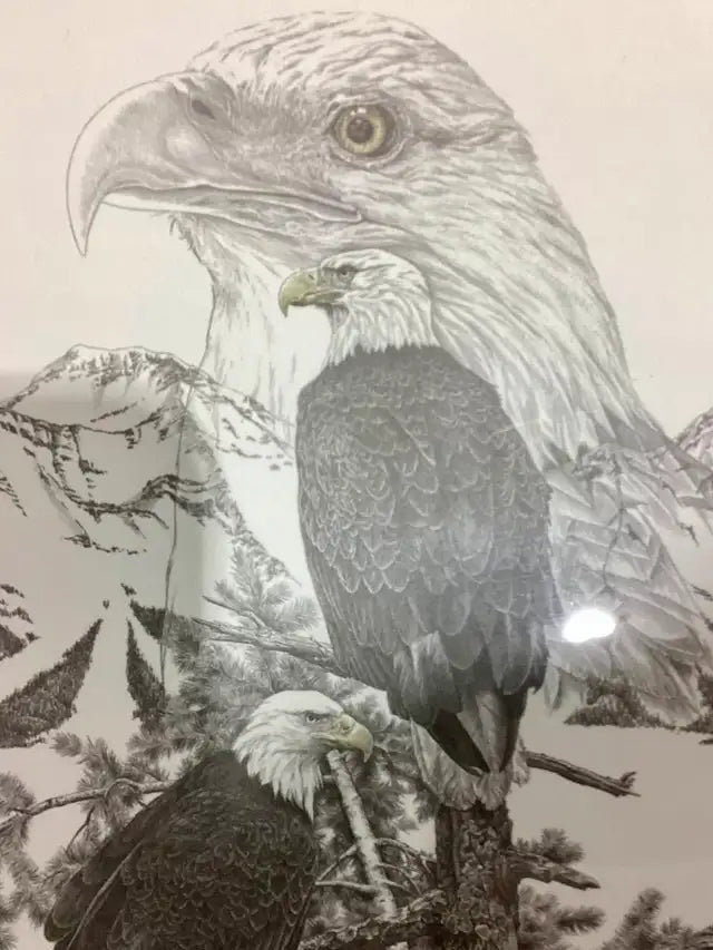 Bernie Brown Eagle Print - Framed