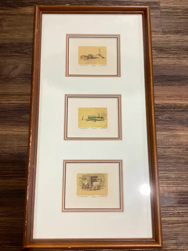 Framed Art Prints by L. Sibos