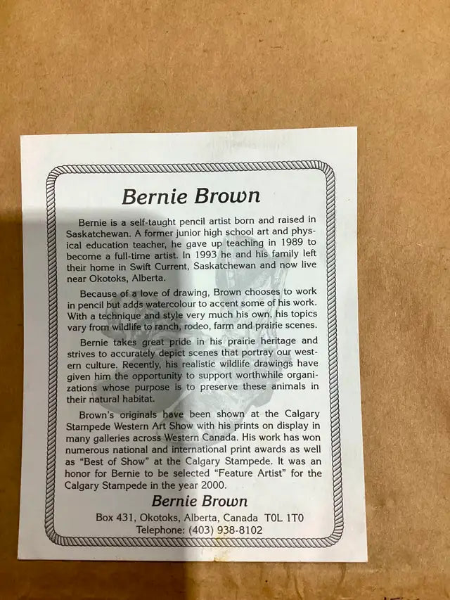 Framed Wolf Print by Bernie Brown