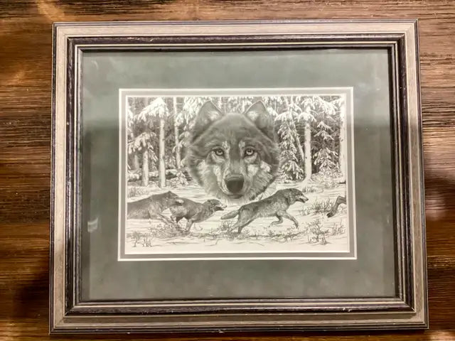 Framed Wolf Print by Bernie Brown