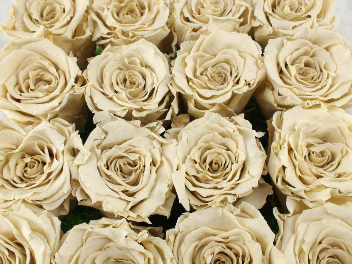 RD Eternal Roses Box Of 16 White Roses - Rose Deluxe, Pre-Owned