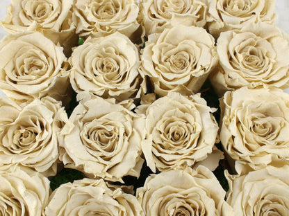 RD Eternal Roses Box Of 16 White Roses - Rose Deluxe, Pre-Owned
