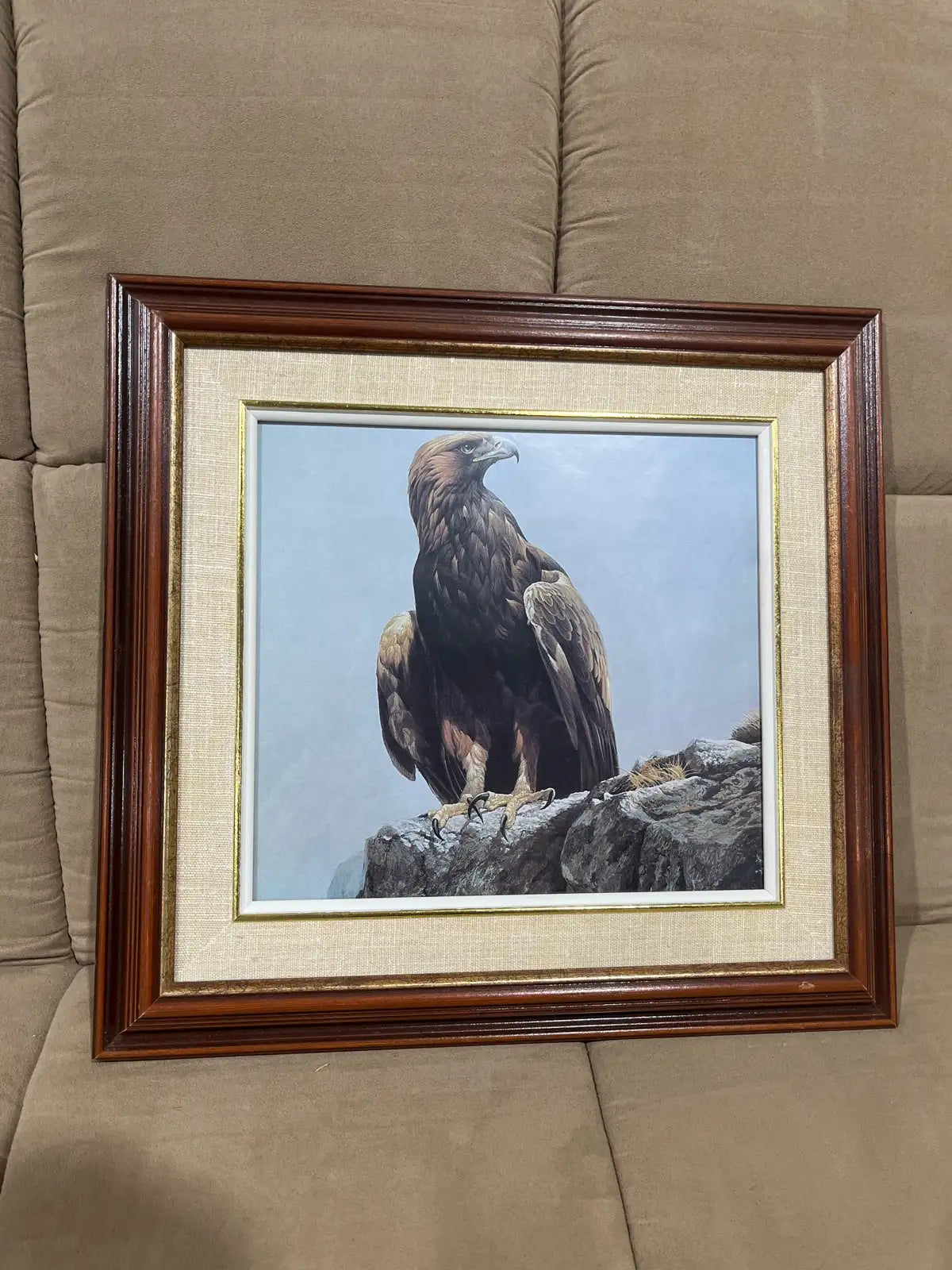 Vintage the eagle framed printed art