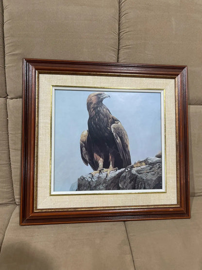Vintage the eagle framed printed art