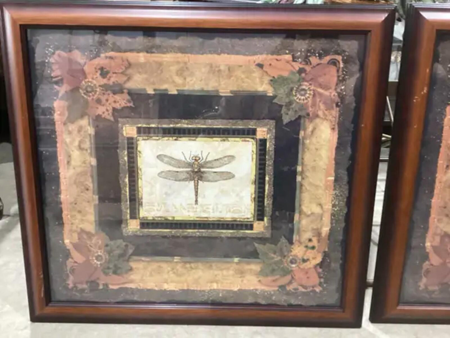 Framed Bug Wall Art - Butterfly and Dragonfly Available