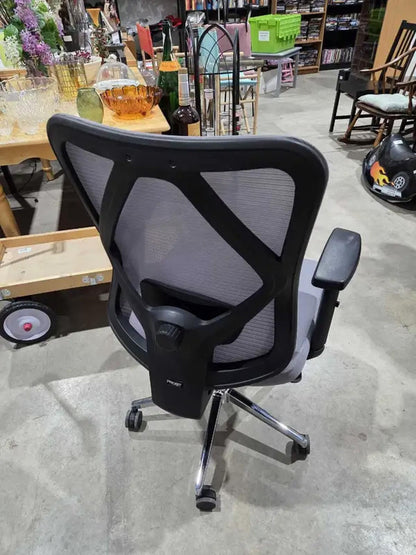 Prosit Ergonomic Office Chair