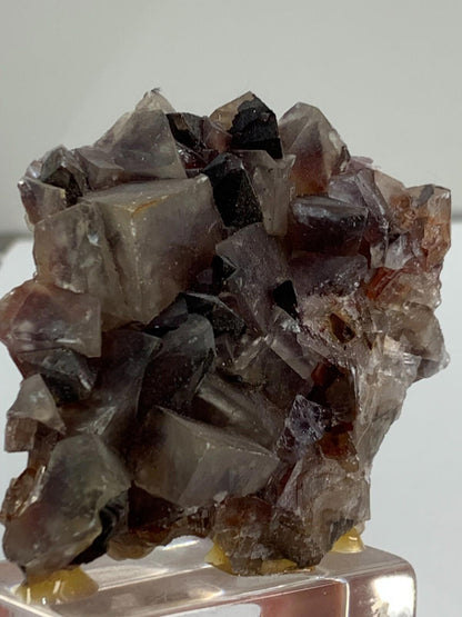 Mariposa Calcite Crystals Specimen Phantom Butterfly Hematite Brown