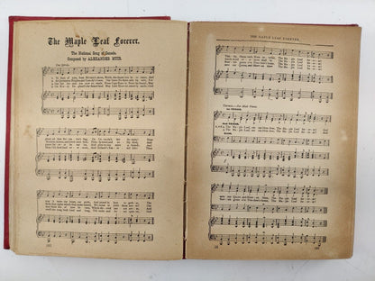 Antique Book 1903 World's Famous Songs and Instrumental Music with Scores