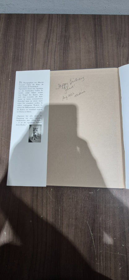 Die Katzen Von Rom Book