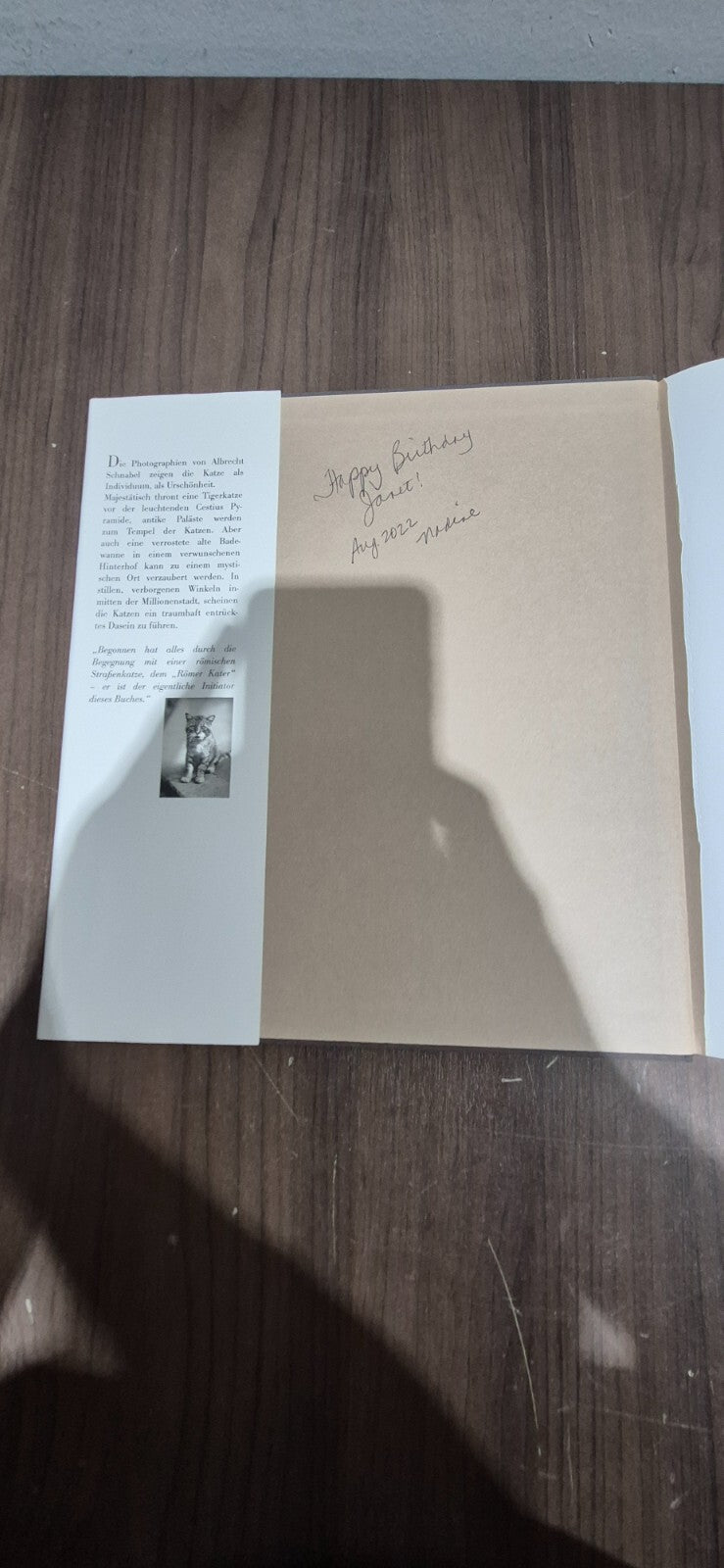 Die Katzen Von Rom Book