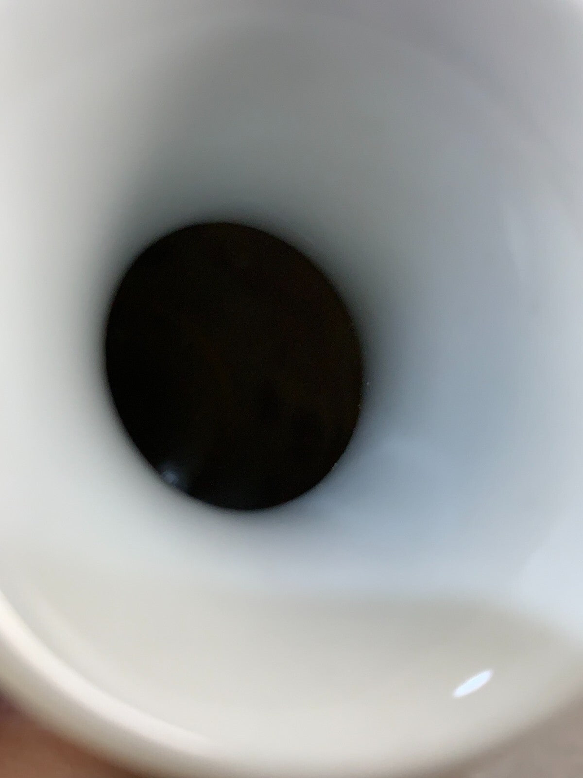 CHINESE PORCELAIN VASE PHOENIX