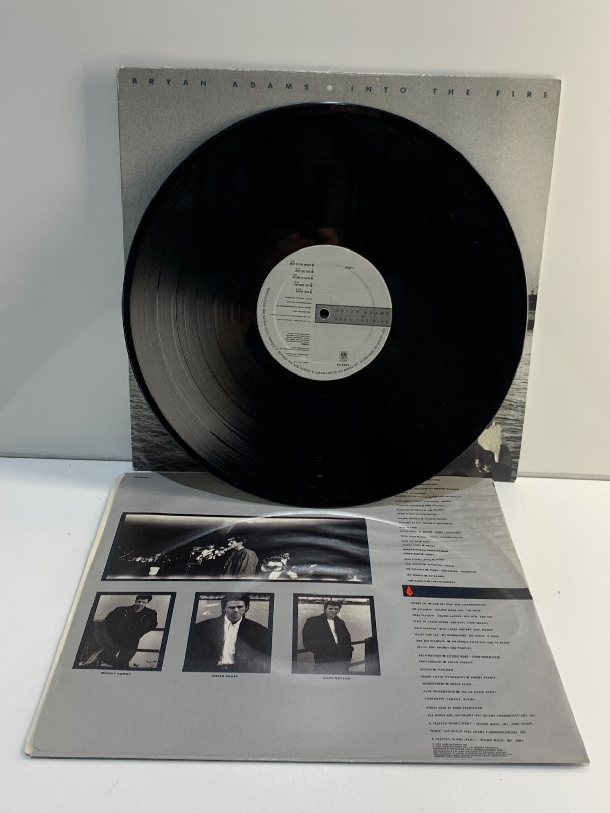 Bryan Adams - Into The Fire vinyl