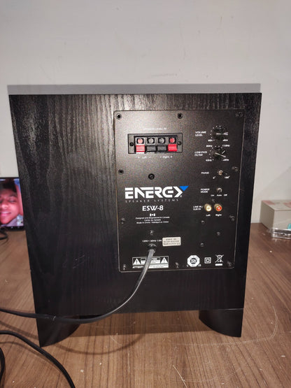 Energy Speaker Systems ESW-8 Powered 8" Subwoofer