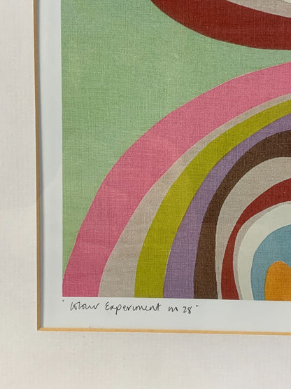 COLOUR EXPERIMENT BY D VAN B, Signed And Framed Offset Lithograph Print By Ikea
