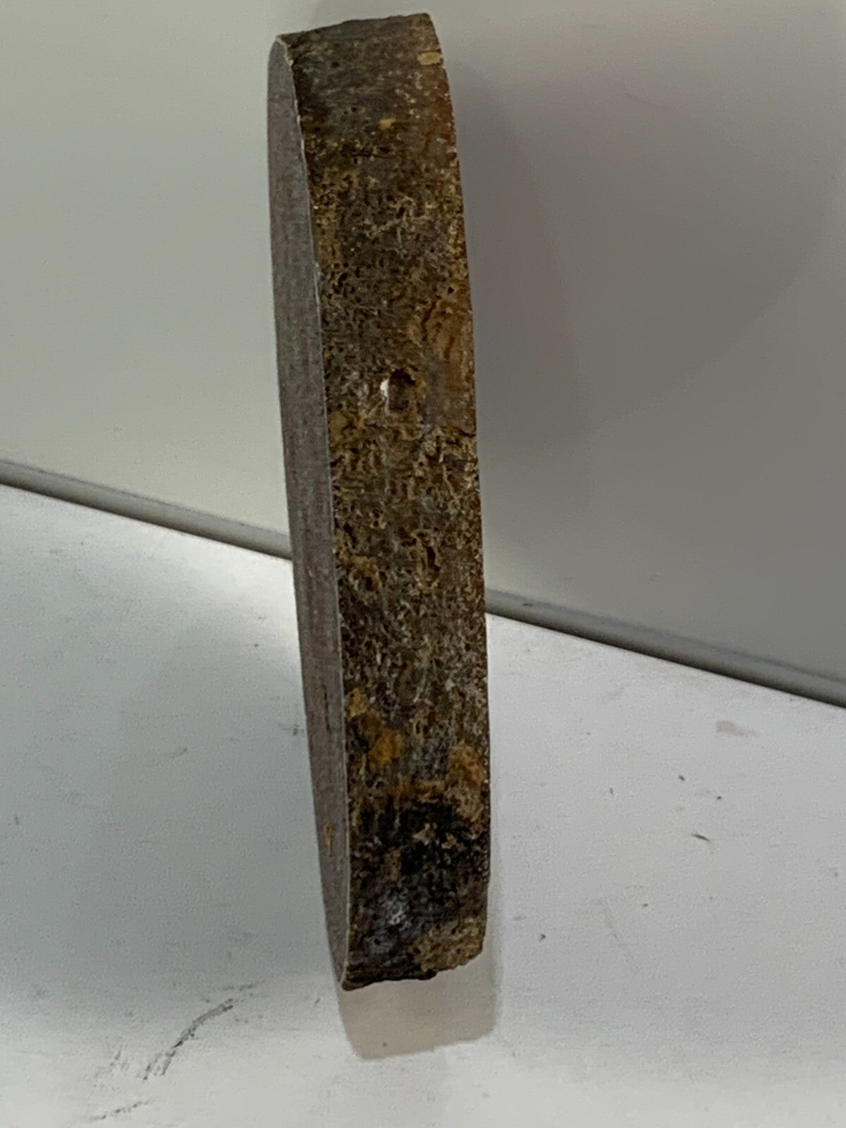 Cut & Polished, Banded Laguna Agate - Mexico