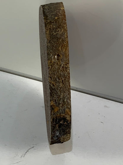 Cut & Polished, Banded Laguna Agate - Mexico