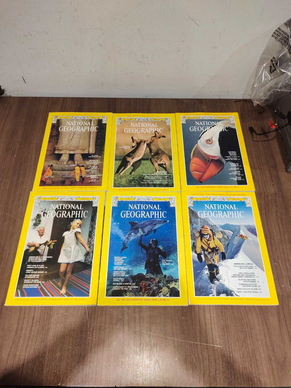 National Geographic - 1979 - January-June - Case Faux Leather - Magazines