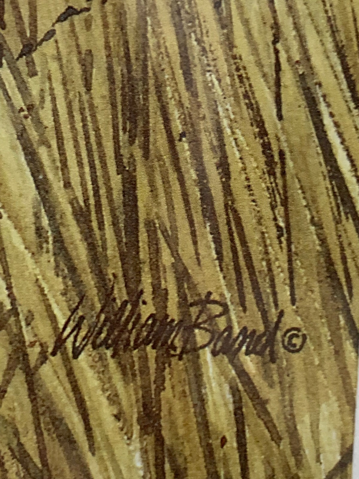 Beautiful Painting Print 914/3950 By William band