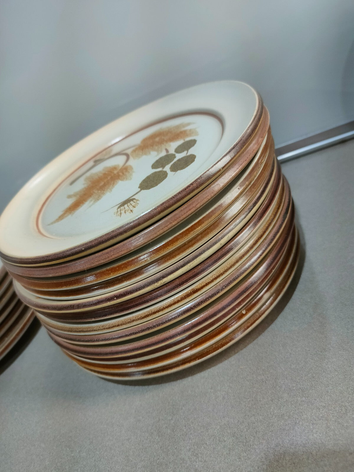 Vintage Denby Cotswold Pottery Plates with Brown Leaves Design