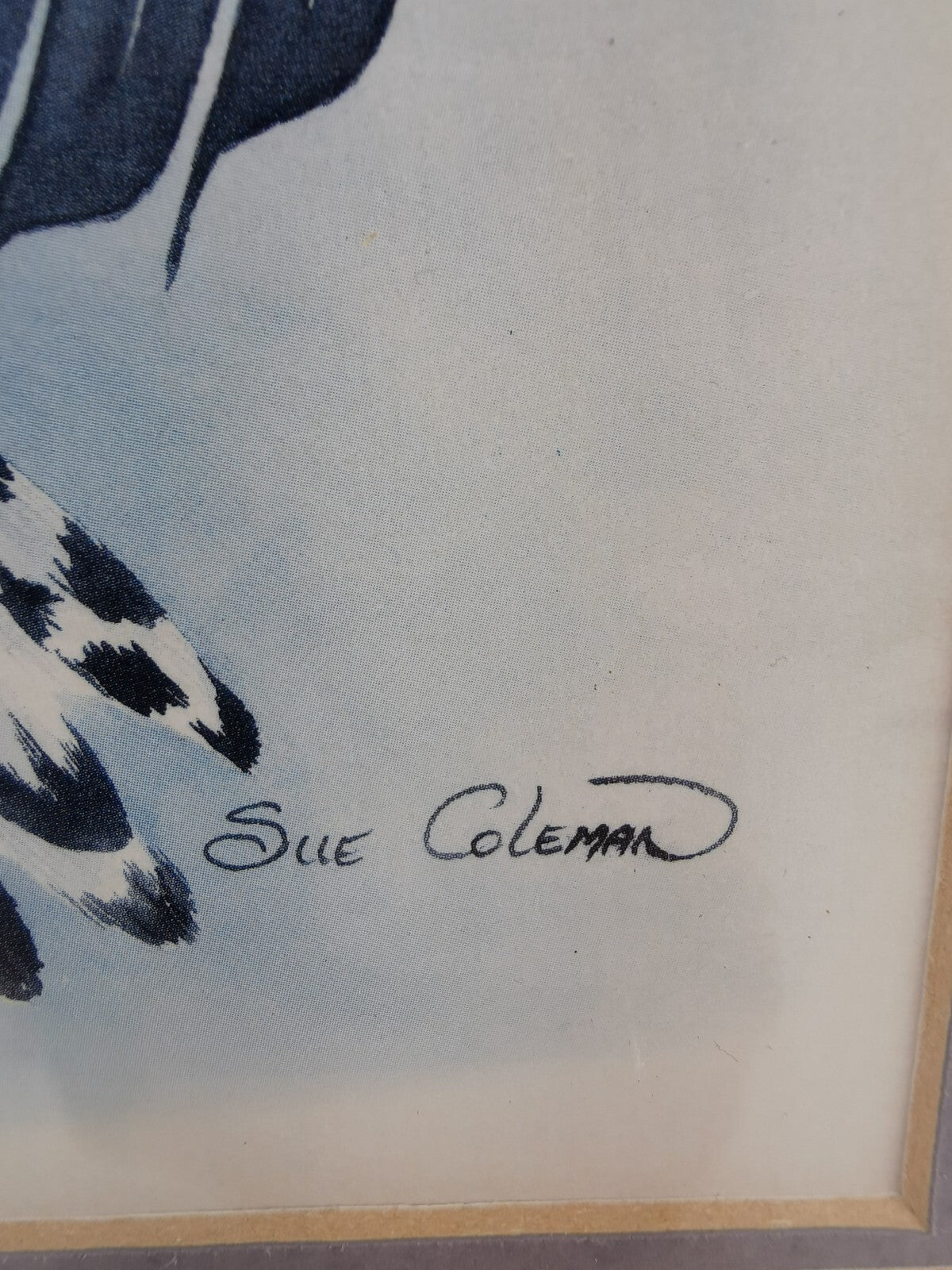 Professionally Framed ~ Signed SUE COLEMAN Art Work, Owl Design With Certificate