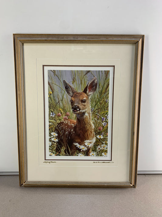 Rare Carl Brenders " Spring Fawn" 1989, Signed frame 360/1500