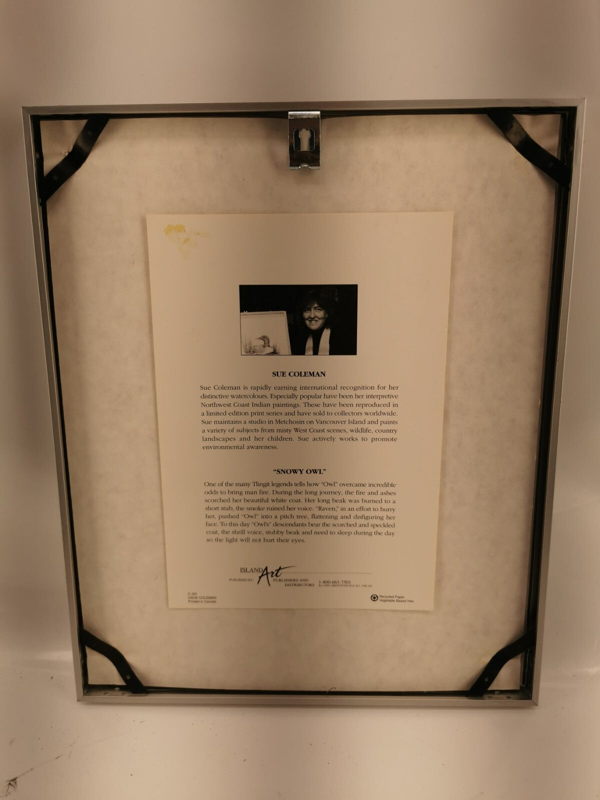 Professionally Framed ~ Signed SUE COLEMAN Art Work, Owl Design With Certificate