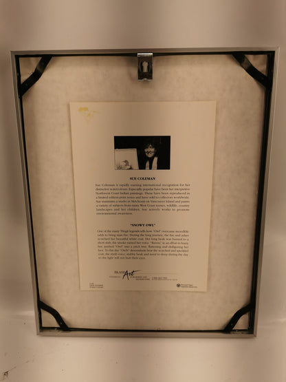 Professionally Framed ~ Signed SUE COLEMAN Art Work, Owl Design With Certificate
