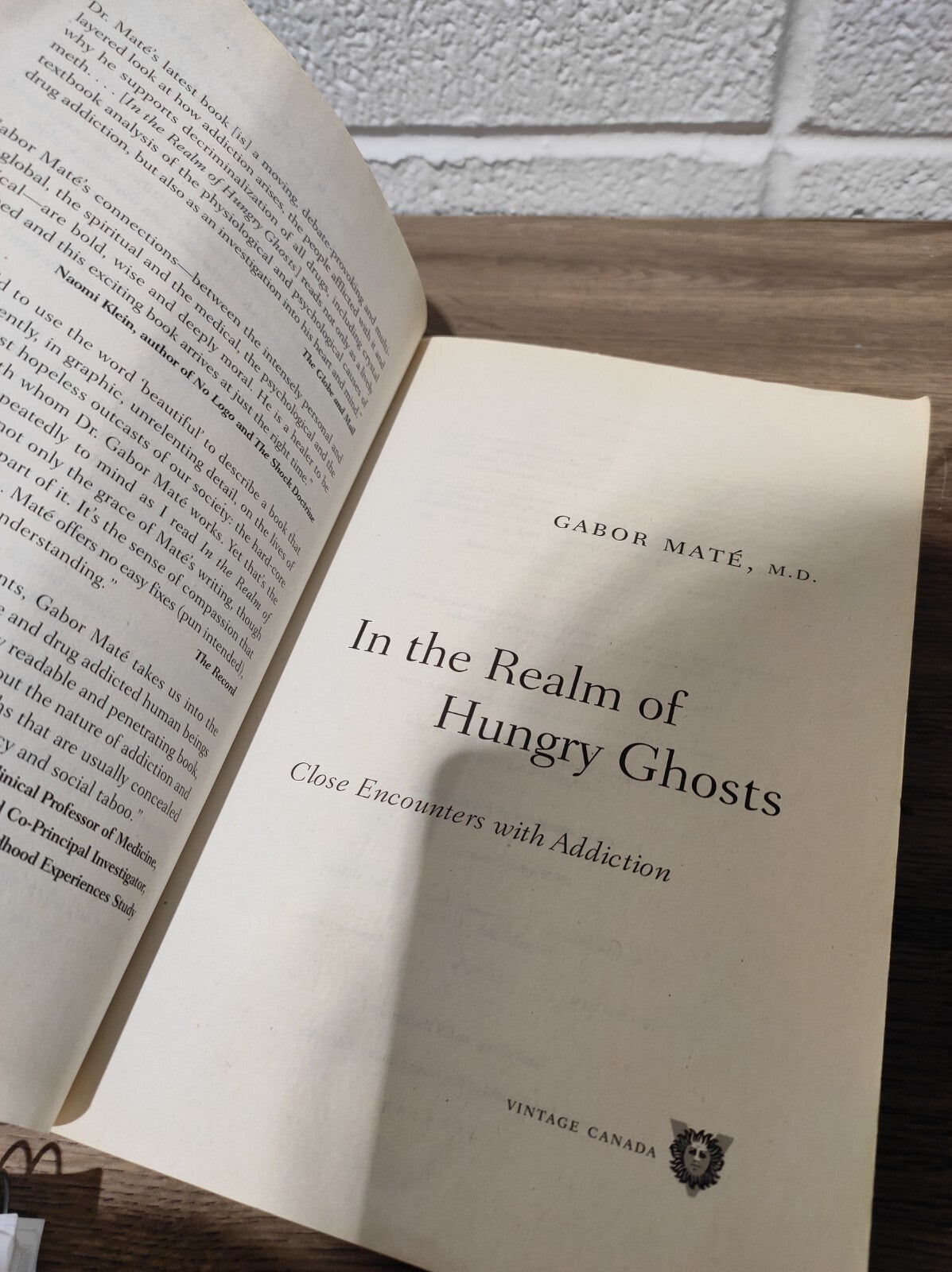 In the Realm of Hungry Ghosts: Close Encounters with Addiction