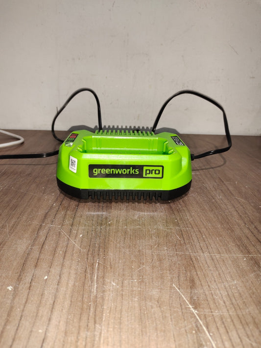 Greenworks Pro Genuine Original 60 Volt Lithium Ion Rapid Battery Charger - 1