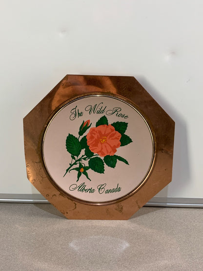 Collectors Canadian Provincial Flower Plate Alberta With Copper Frame