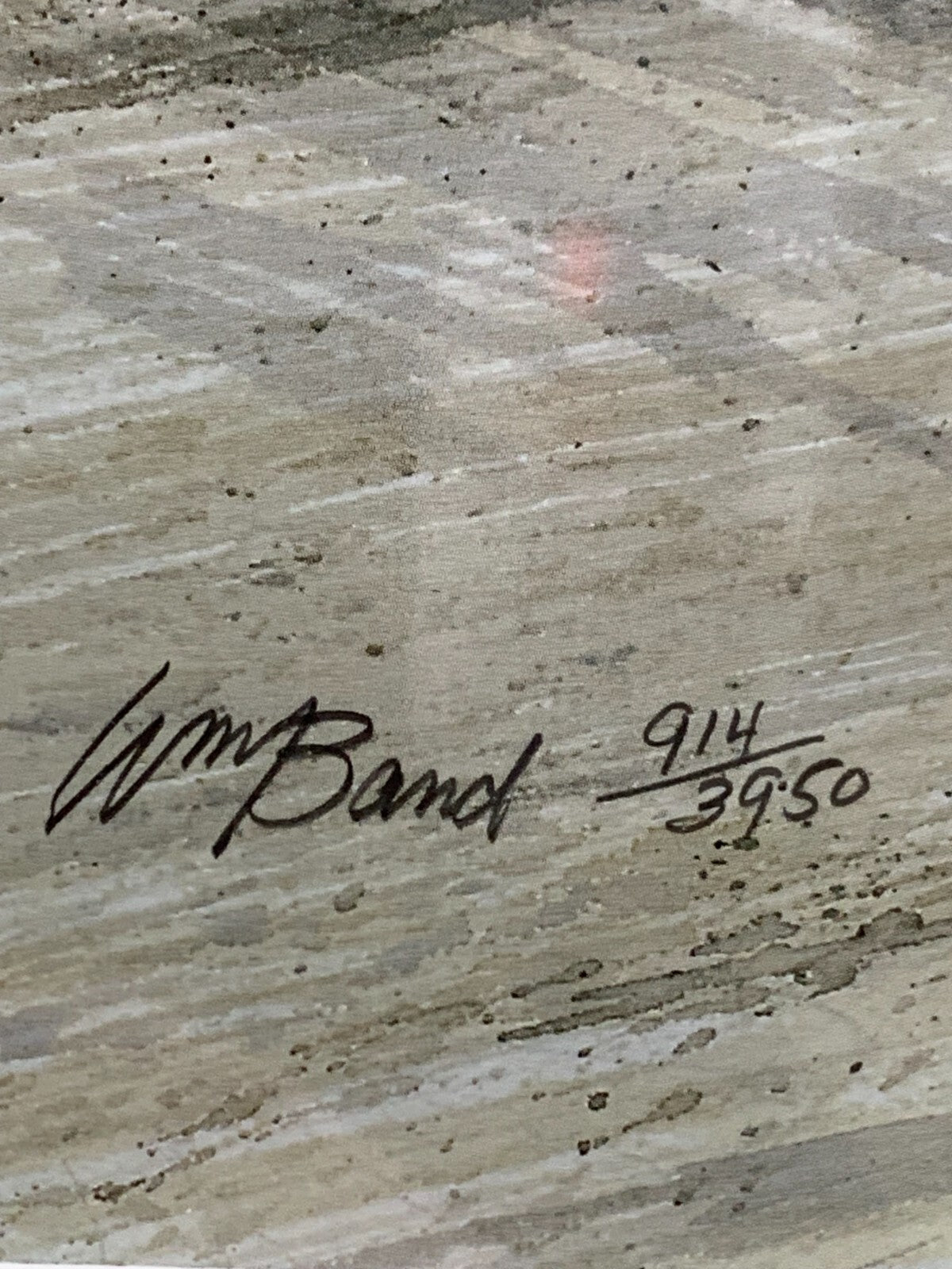 Beautiful Painting Print 914/3950 By William band