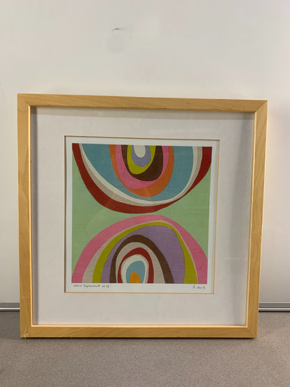 COLOUR EXPERIMENT BY D VAN B, Signed And Framed Offset Lithograph Print By Ikea