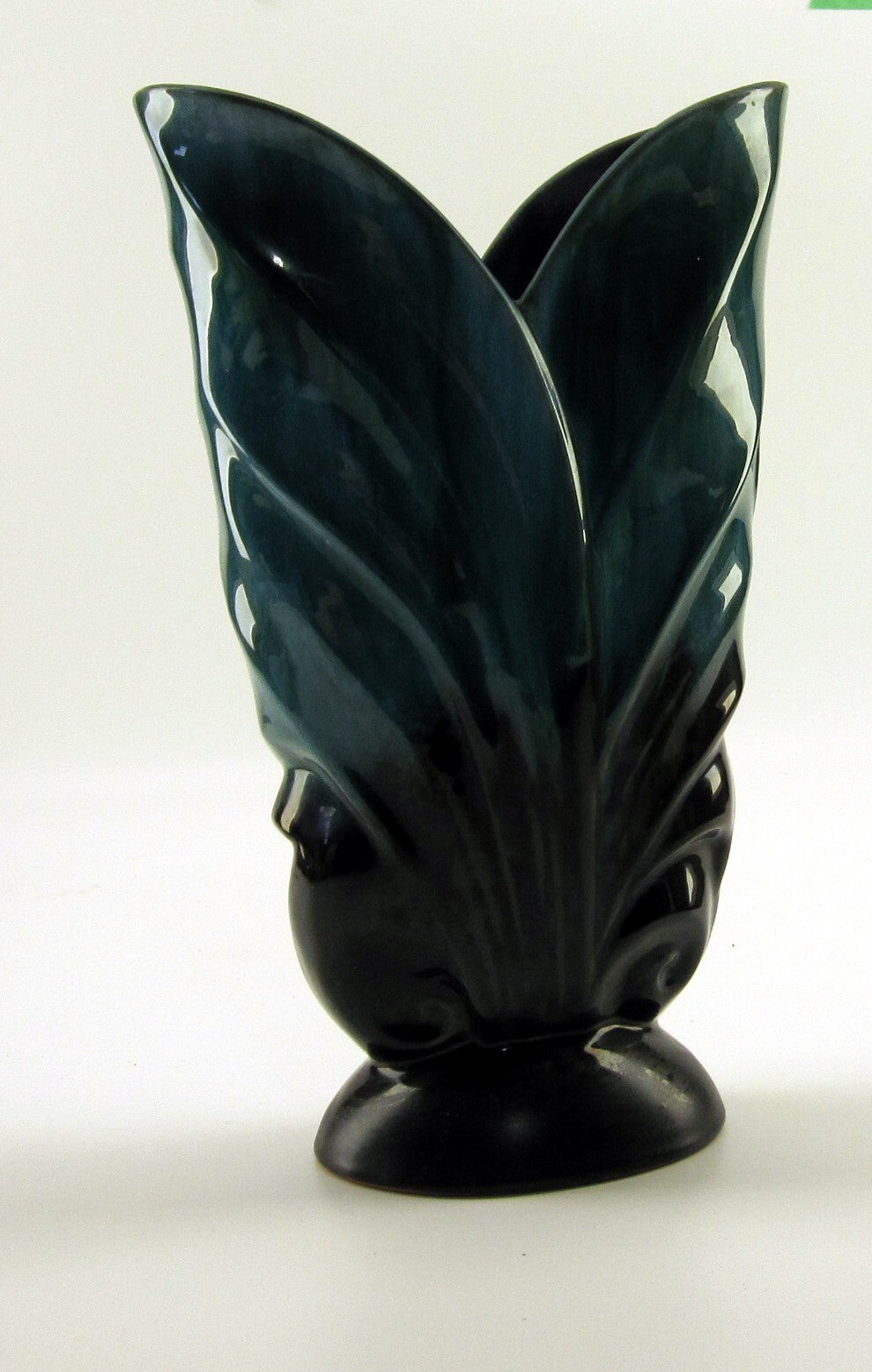 Canada Brand Scalloped Leafed Tulip Vase
