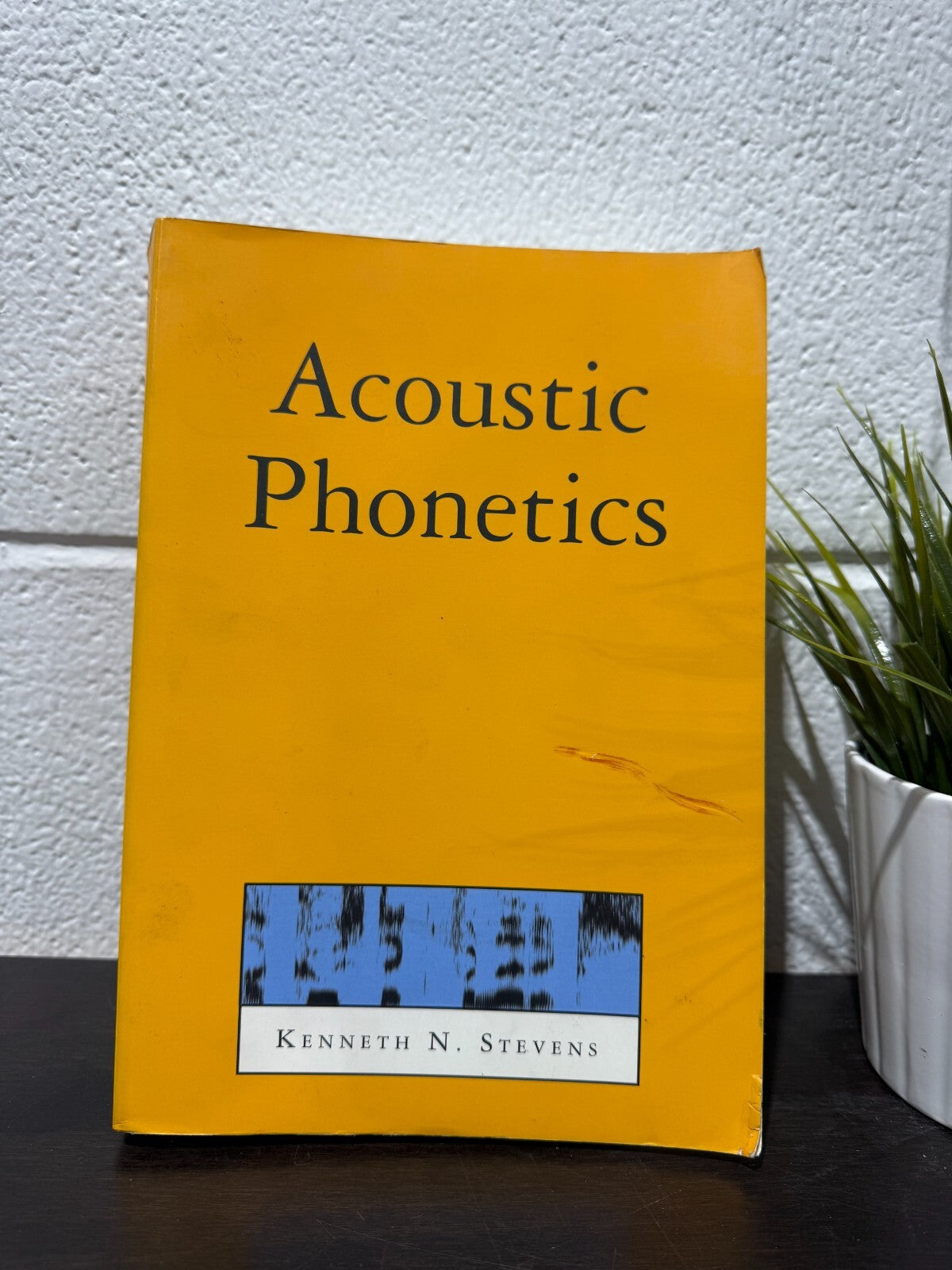 Acoustic Phonetics by Kenneth N. Stevens (English) Paperback Book
