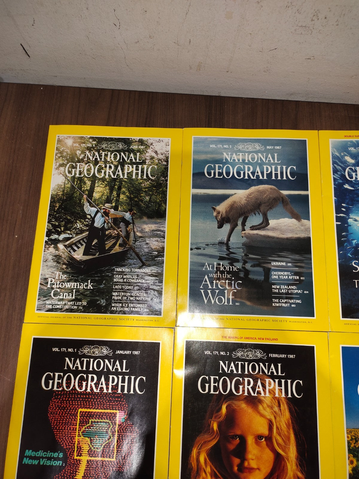 National Geographic - 1987 - January-June - Case Faux Leather - Magazines