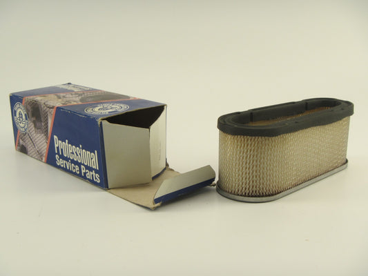 Air Filter - BRIGGS 493909