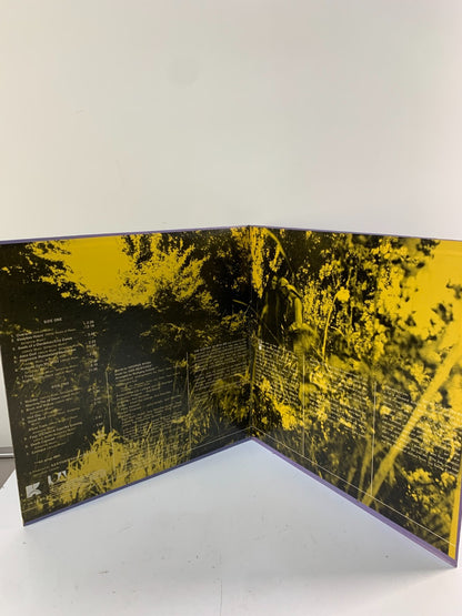 Chief Dan George, Ann Mortifee, Paul Horn - The Ecstasy Of Rita Joe vinyl record