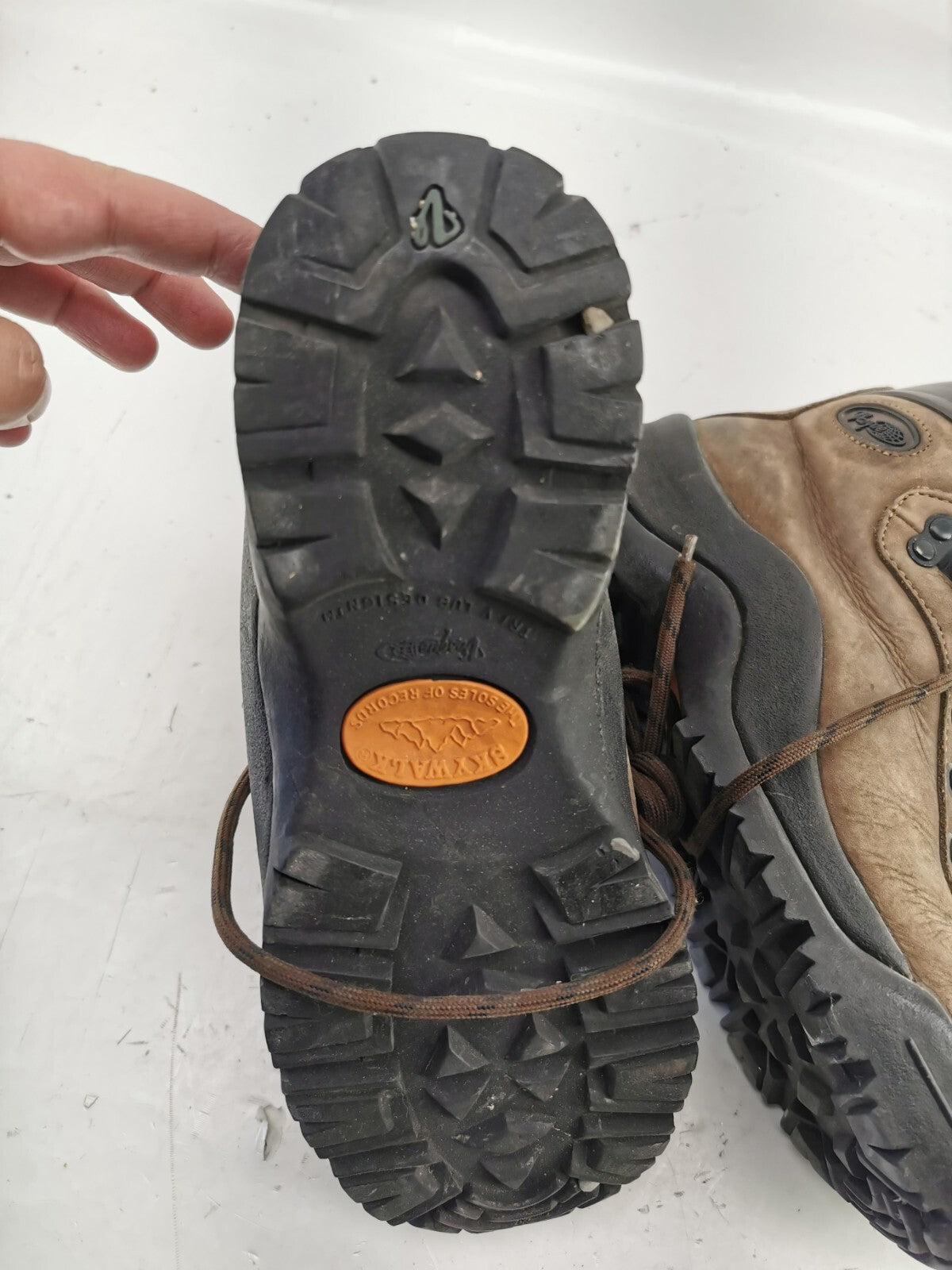 Vasque shoe